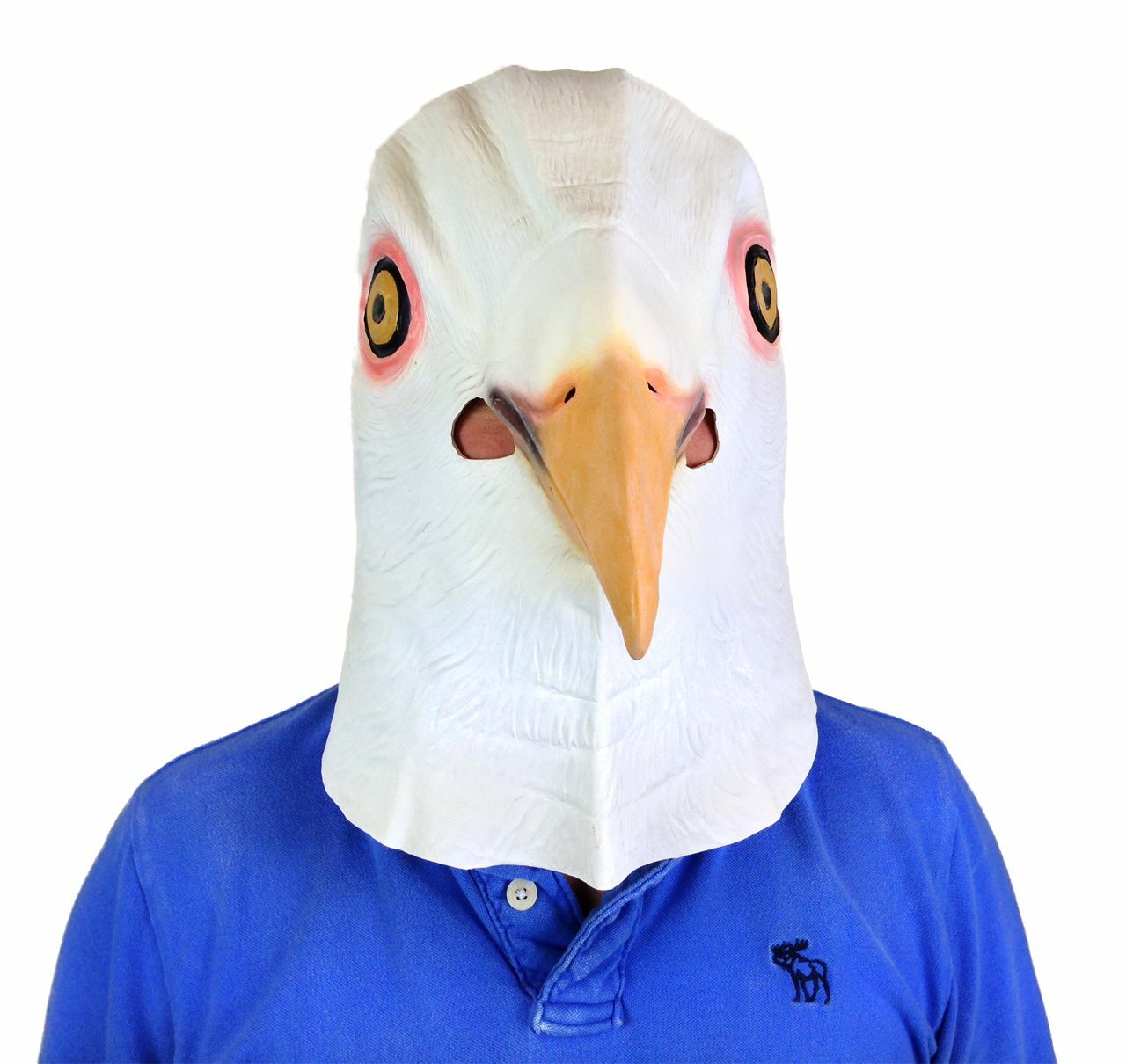 Nueva máscara de Paloma, cabez - Skincare Pigeon reseña y precio