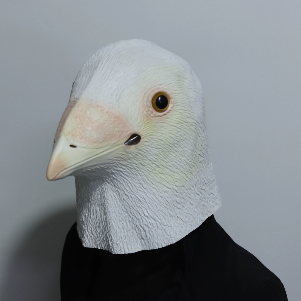 Máscara Realista de Gaviota de - Skincare Pigeon reseña y precio