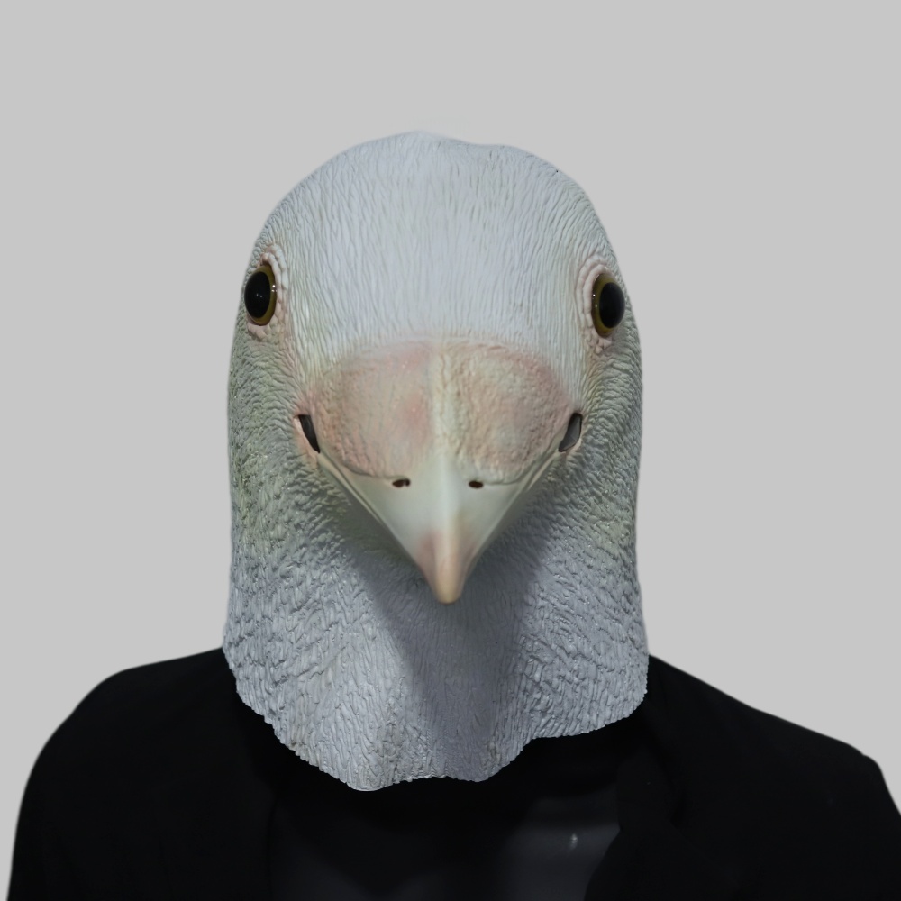 Máscara Realista de Gaviota de - Skincare Pigeon reseña y precio